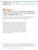 DNA methylation and transcriptional trajectories during human development and reprogramming of isogenic pluripotent stem cells
