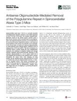 Antisense Oligonucleotide-Mediated Removal of the Polyglutamine Repeat in Spinocerebellar Ataxia Type 3 Mice