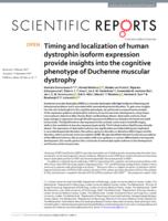 Timing and localization of human dystrophin isoform expression provide insights into the cognitive phenotype of Duchenne muscular dystrophy