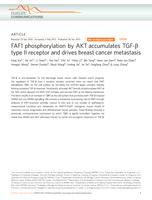 FAF1 phosphorylation by AKT accumulates TGF-beta type II receptor and drives breast cancer metastasis