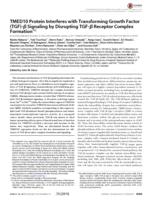 TMED10 Protein Interferes with Transforming Growth Factor (TGF)-beta Signaling by Disrupting TGF-beta Receptor Complex Formation