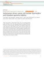 Actomyosin drives cancer cell nuclear dysmorphia and threatens genome stability