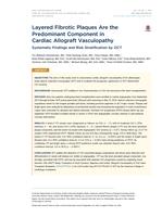 Layered Fibrotic Plaques Are the Predominant Component in Cardiac Allograft Vasculopathy Systematic Findings and Risk Stratification by OCT