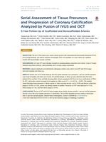 Serial Assessment of Tissue Precursors and Progression of Coronary Calcification Analyzed by Fusion of IVUS and OCT 5-Year Follow-Up of Scaffolded and Nonscaffolded Arteries