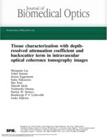 Tissue characterization with depth-resolved attenuation coefficient and backscatter term in intravascular optical coherence tomography images