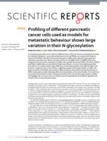 Profiling of different pancreatic cancer cells used as models for metastatic behaviour shows large variation in their N-glycosylation