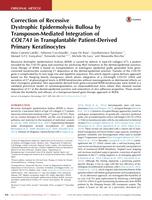 Correction of Recessive Dystrophic Epidermolysis Bullosa by Transposon-Mediated Integration of COL7A1 in Transplantable Patient-Derived Primary Keratinocytes