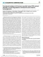 Functional analyses of a human vascular tumor FOS variant identify a novel degradation mechanism and a link to tumorigenesis