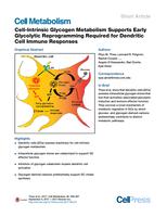 Cell-Intrinsic Glycogen Metabolism Supports Early Glycolytic Reprogramming Required for Dendritic Cell Immune Responses