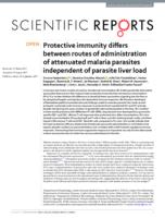 Protective immunity differs between routes of administration of attenuated malaria parasites independent of parasite liver load