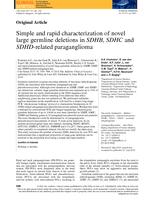 Simple and rapid characterization of novel large germline deletions in SDHB, SDHC and SDHD-related paraganglioma