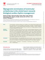 Optogenetic termination of ventricular arrhythmias in the whole heart: towards biological cardiac rhythm management