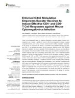 Enforced OX40 Stimulation Empowers Booster Vaccines to Induce Effective CD4(+) and CD8(+) T Cell Responses against Mouse Cytomegalovirus Infection