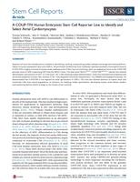 A COUP-TFII Human Embryonic Stem Cell Reporter Line to Identify and Select Atrial Cardiomyocytes