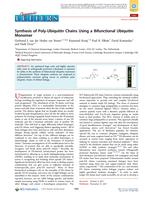 Synthesis of Poly-Ubiquitin Chains Using a Bifunctional Ubiquitin Monomer