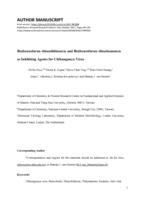 Bis(benzofuran-thiazolidinone)s and bis(benzofuran-thiazinanone)s as inhibiting agents for chikungunya virus