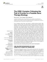 The CRB1 Complex: Following the Trail of Crumbs to a Feasible Gene Therapy Strategy