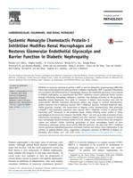 Systemic Monocyte Chemotactic Protein-1 Inhibition Modifies Renal Macrophages and Restores Glomerular Endothelial Glycocalyx and Barrier Function in Diabetic Nephropathy