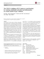 The VEGF-A inhibitor sFLT-1 improves renal function by reducing endothelial activation and inflammation in a mouse model of type 1 diabetes