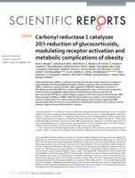 Carbonyl reductase 1 catalyzes 20 beta-reduction of glucocorticoids, modulating receptor activation and metabolic complications of obesity