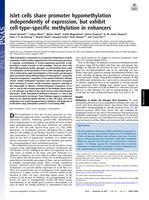 Islet cells share promoter hypomethylation independently of expression, but exhibit cell-type-specific methylation in enhancers