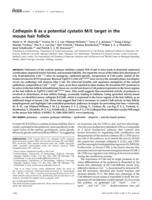 Cathepsin B as a potential cystatin M/E target in the mouse hair follicle