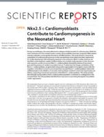 Nkx2.5+Cardiomyoblasts Contribute to Cardiomyogenesis in the Neonatal Heart