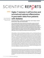 Siglec-7 restores beta-cell function and survival and reduces inflammation in pancreatic islets from patients with diabetes