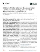 Inhibition of Mef2a Enhances Neovascularization via Post-transcriptional Regulation of 14q32 MicroRNAs miR-329 and miR-494