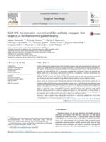 SGM-101: An innovative near-infrared dye-antibody conjugate that targets CEA for fluorescence-guided surgery