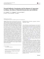 Prenatal Reflective Functioning and Development of Aggression in Infancy: the Roles of Maternal Intrusiveness and Sensitivity