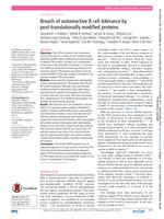 Breach of autoreactive B-cell tolerance by post-translationally modified foreign proteins