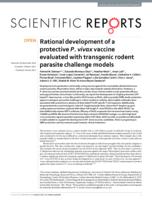 Rational development of a protective P. vivax vaccine evaluated with transgenic rodent parasite challenge models