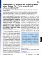 Mixed signature of activation and dysfunction allows human decidual CD8(+) T cells to provide both tolerance and immunity