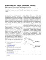 A General Approach Towards Triazole-Linked Adenosine Diphosphate Ribosylated Peptides and Proteins