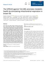 The GPR120 agonist TUG-891 promotes metabolic health by stimulating mitochondrial respiration in brown fat
