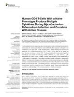 Human CD4 T-Cells With a Naive Phenotype Produce Multiple Cytokines During Mycobacterium Tuberculosis Infection and Correlate With Active Disease