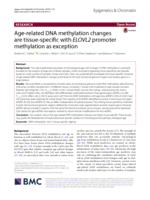 Age-related DNA methylation changes are tissue-specific with ELOVL2 promoter methylation as exception