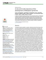 In vivo and in silico dynamics of the development of Metabolic Syndrome