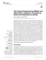 The Human Polyomavirus Middle and Alternative T-Antigens; Thoughts on Roles and Relevance to Cancer