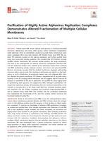 Purification of Highly Active Alphavirus Replication Complexes Demonstrates Altered Fractionation of Multiple Cellular Membranes