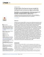 A dystrophic Duchenne mouse model for testing human antisense oligonucleotides