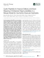 Cyclic Peptides to Improve Delivery and Exon Skipping of Antisense Oligonucleotides in a Mouse Model for Duchenne Muscular Dystrophy