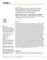 Natural disease history of the dy(2J) mouse model of laminin alpha 2 (merosin)-deficient congenital muscular dystrophy