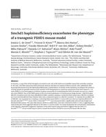 Smchd1 haploinsufficiency exacerbates the phenotype of a transgenic FSHD1 mouse model