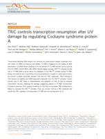 TRiC controls transcription resumption after UV damage by regulating Cockayne syndrome protein A