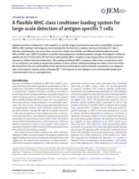 A flexible MHC class I multimer loading system for large-scale detection of antigen-specific T cells