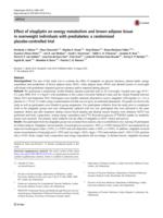 Effect of sitagliptin on energy metabolism and brown adipose tissue in overweight individuals with prediabetes: a randomised placebo-controlled trial