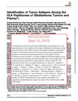 Identification of Tumor Antigens Among the HLA Peptidomes of Glioblastoma Tumors and Plasma