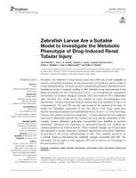 Zebrafish Larvae Are a Suitable Model to Investigate the Metabolic Phenotype of Drug-Induced Renal Tubular Injury